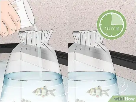 Image titled Acclimate Your Fish to a New Aquarium Step 13