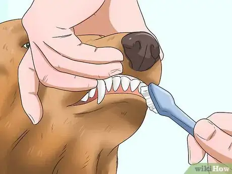 Image titled Care for Puggles Step 17