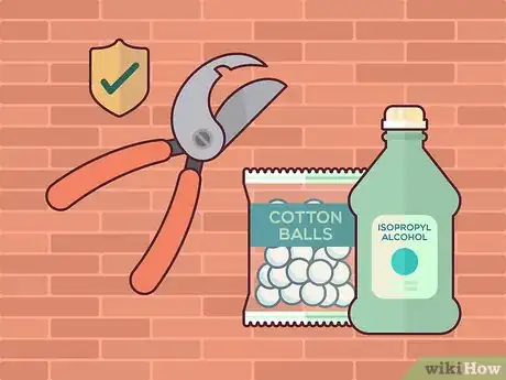 Image titled Save a Dying Rose Bush Step 6