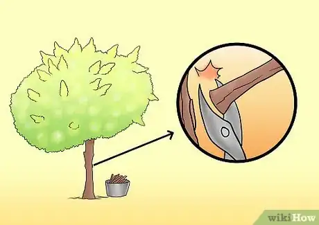 Image titled Prune Tardiva Hydrangea Step 4