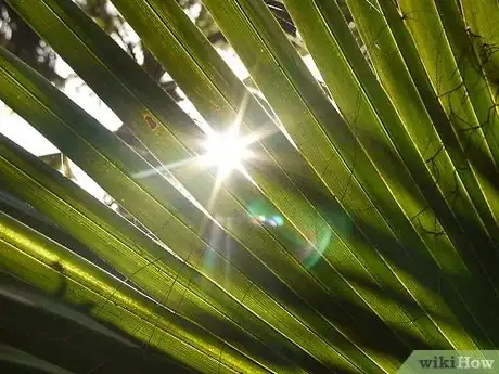 Image titled Write a Setting for a Book Step 3