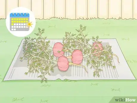 Image titled Grow Maca Step 18