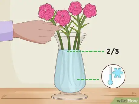 Image titled Water Carnations Step 9