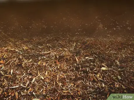 Image titled Grow Tiger Lilies Step 8