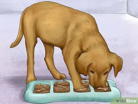 Image titled Treat Obesity in Labrador Retrievers Step 6