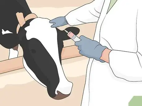Image titled Treat Bovine Respiratory Disease Step 02