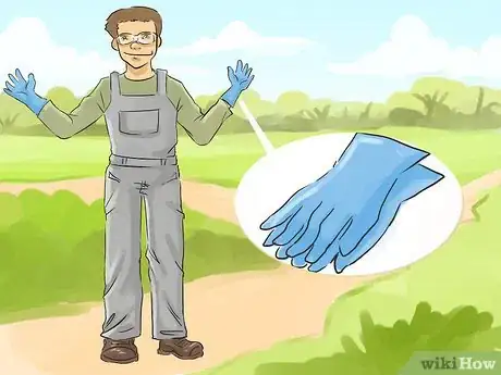 Image titled Harvest Milk Thistle Step 2