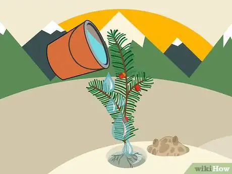 Image titled Plant Yew Step 07