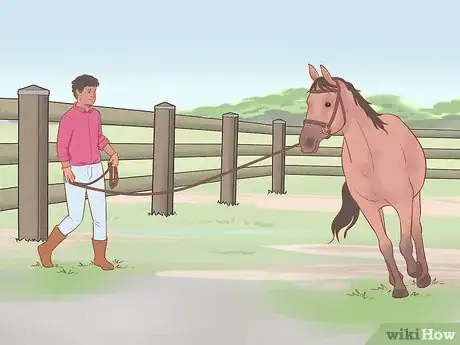 Image titled Condition Your Horse for Endurance Riding Step 8