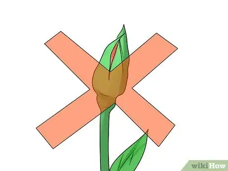 Image titled Design a Perennial Garden Step 10