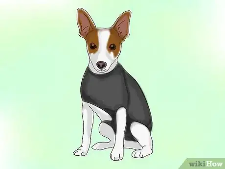 Image titled Calm a Dog With Natural Remedies Step 7