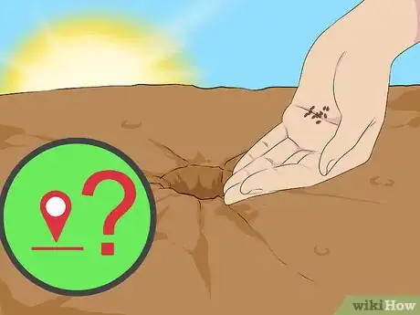 Image titled Grow Bergamot Step 2