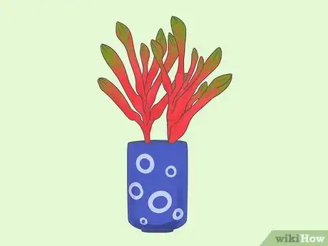 Image titled Dry Kangaroo Paws Step 7