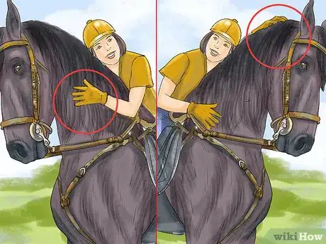 Image titled Get a Horse to Put Its Head Down Step 9