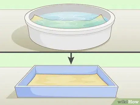 Image titled Grow Arugula Microgreens Step 12