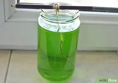 Image titled Make a Crystal Garden Step 15