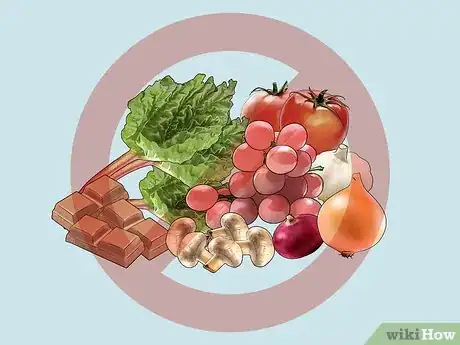 Image titled Feed Cats Table Scraps Step 2