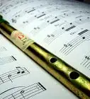 Play the Tin Whistle