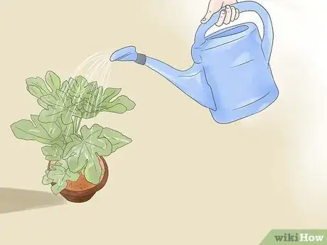 Image titled Grow Figs Step 7