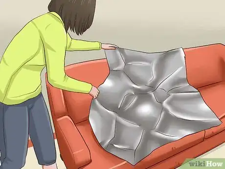 Image titled Repel Cats Step 1