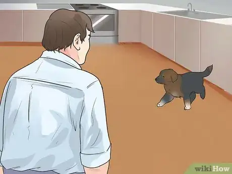 Image titled Prepare Your Dog to Go Off‐Leash Step 12