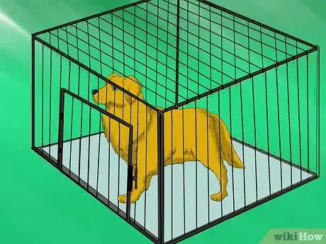 Image titled Kennel Train an Older Dog That Barks Step 8