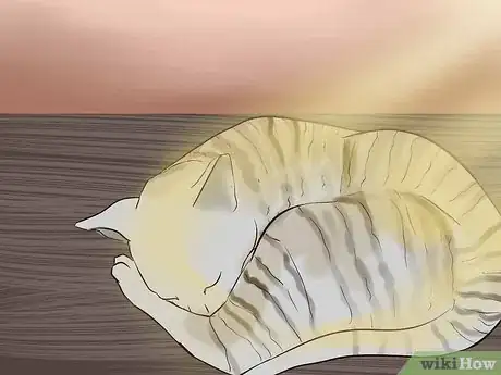 Image titled Identify a Cornish Rex Step 11