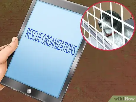 Image titled Adopt a Sporting Dog Step 3