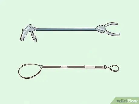 Image titled Prevent a Rabies Infection Step 3