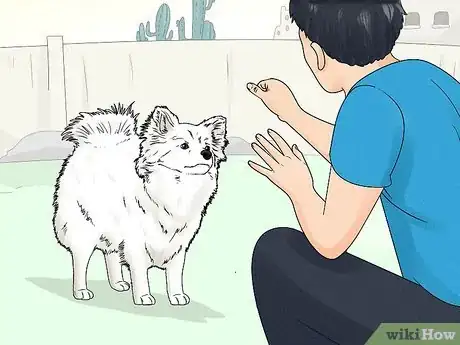 Image titled Train a Deaf Pet Step 1