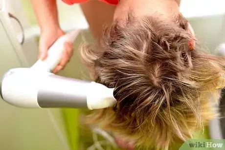 Image titled Add Volume to Fair_Stiff Hair Step 8