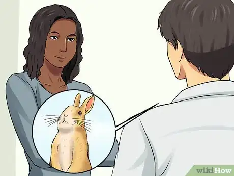 Image titled Adopt a Rabbit from a Shelter Step 6