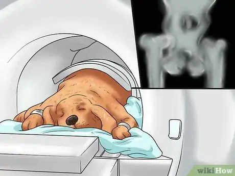 Image titled Care for Puggles Step 12