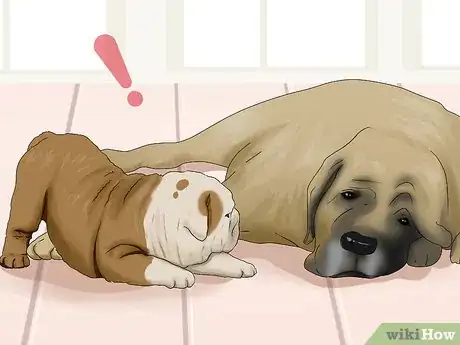 Image titled Introduce a New Dog to Your Senior Dog Step 13