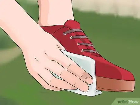 Image titled Prevent a Dog and Cat Tapeworm Infection (Dipylidium Infection) Step 4