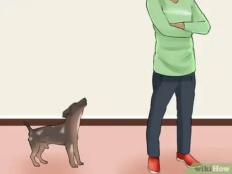 Image titled Discourage Your Host's Obnoxious Dog Step 3