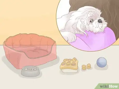 Image titled Prevent Dog Fights Step 21