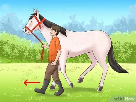 Image titled Calm Your Hot Horse Step 2