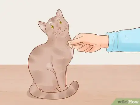 Image titled Target Train a Cat Step 16