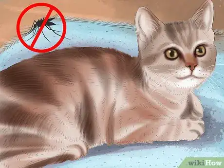 Image titled Treat Heartworm Disease in Cats Step 8