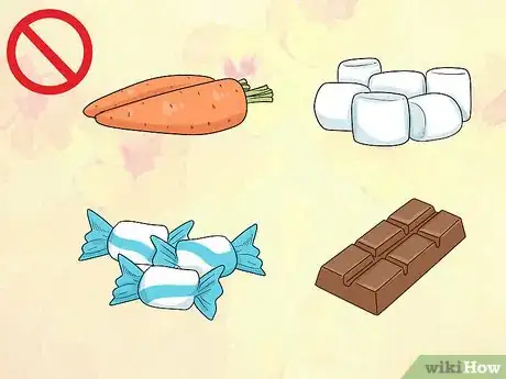 Image titled Feed a Ferret Step 11