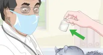 Avoid Poisoning a Chinchilla