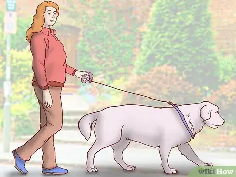 Image titled Maintain Social Skills in Older Dogs Step 2