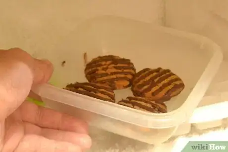 Image titled Store Homemade Cookies Step 14