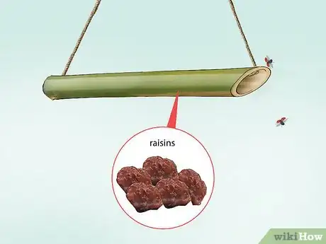 Image titled Take Care of a Ladybug Step 4