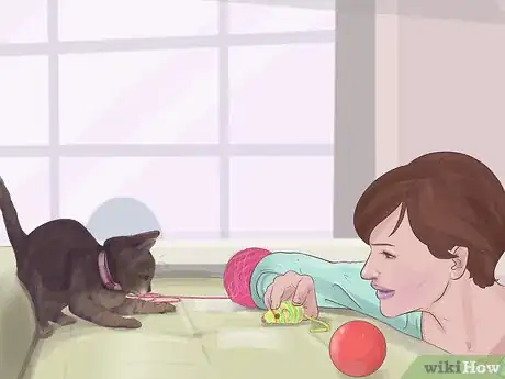 Image titled Socialize Your Kitten Step 7