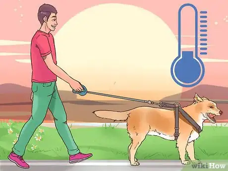 Image titled Protect Dog Paws Step 7