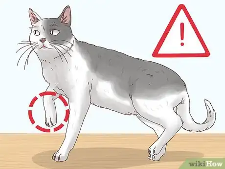 Image titled Diagnose and Treat Histoplasmosis in Cats Step 5