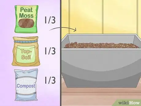 Image titled Grow Irish Potatoes Step 12