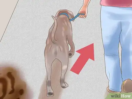 Image titled Get Dog Smell Out of a Basement Step 31